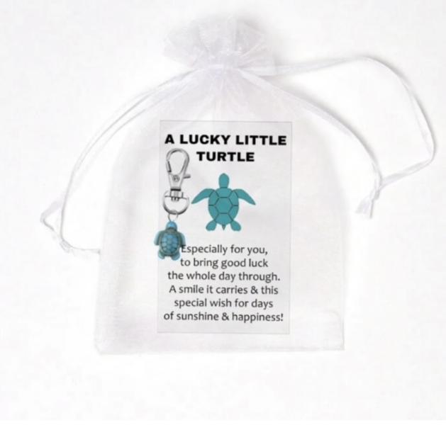 1pcs Lucky Turtle Pocket Hug Set 🐢 