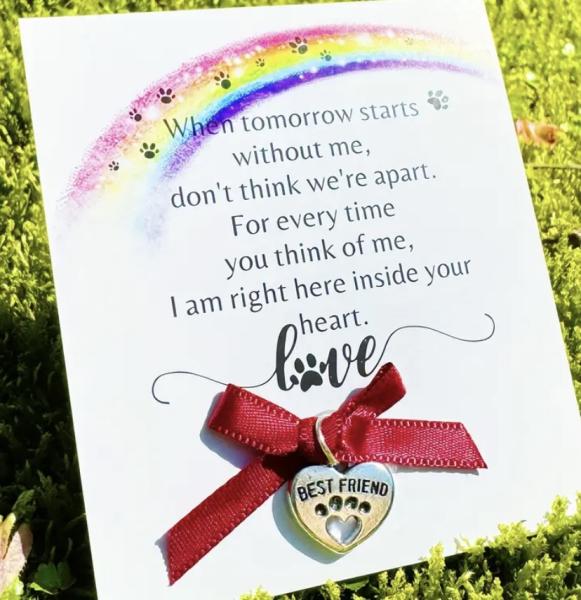 1pcs Pet Loss Sympathy Card 🐾 