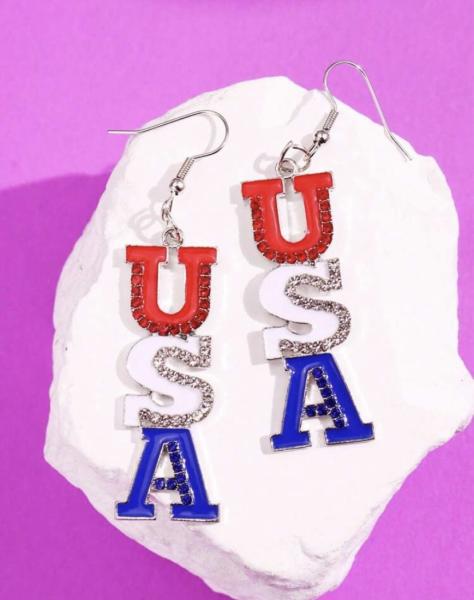 1 Pair USA Pendant Patriotic Earrings ~ Silver 