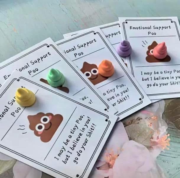 1pc Inspirational 💩 Pocket Hug $1.50 each