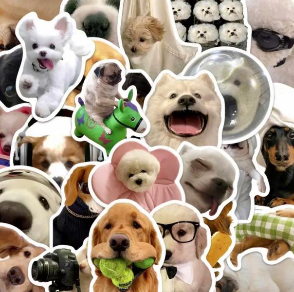 50pcs Dog Stickers 