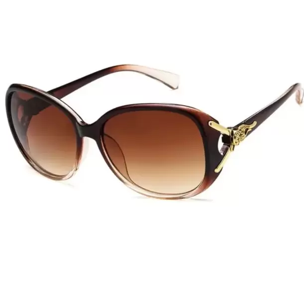 1 Pair Woman's Sunglasses Brown 