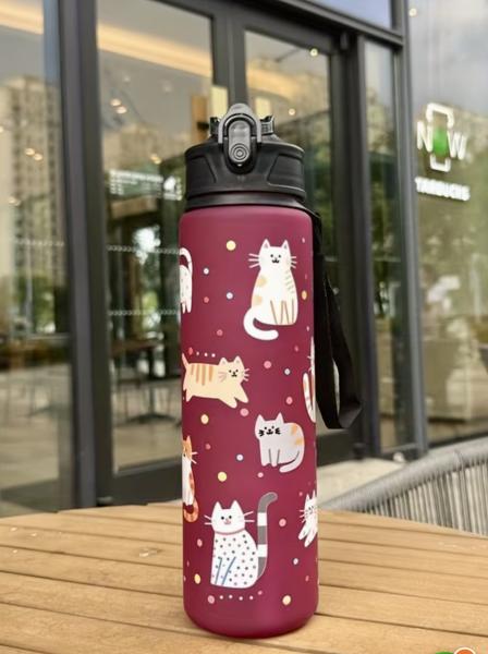 1pc Cat Themed Water Bottle 